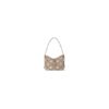 LV  CarryAll PM