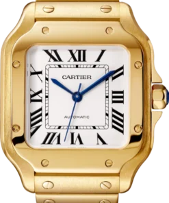 CARTIER santos 18kt Yellow Gold Men's WatchItem -WGSA0007(AAAAA)