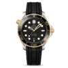 DIVER 300M CO?AXIAL MASTER CHRONOMETER 42 MM-210.22.42.20.01.001