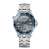 DIVER 300M CO?AXIAL MASTER CHRONOMETER 42 MM-210.30.42.20.06.001